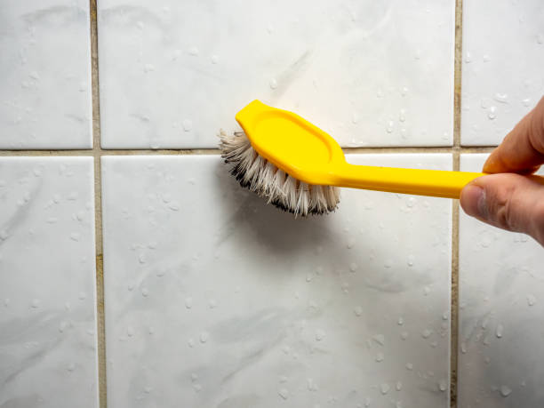 Best Mold Damage Repair  in Superior, AZ